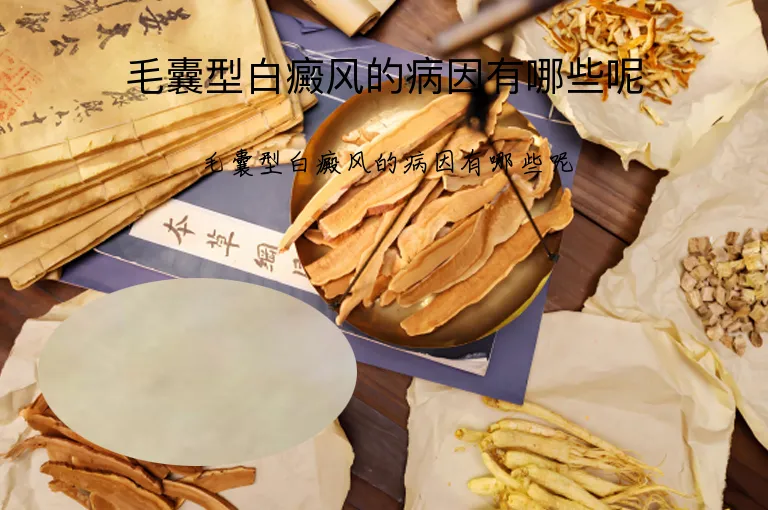 毛囊型白癜风的病因有哪些呢