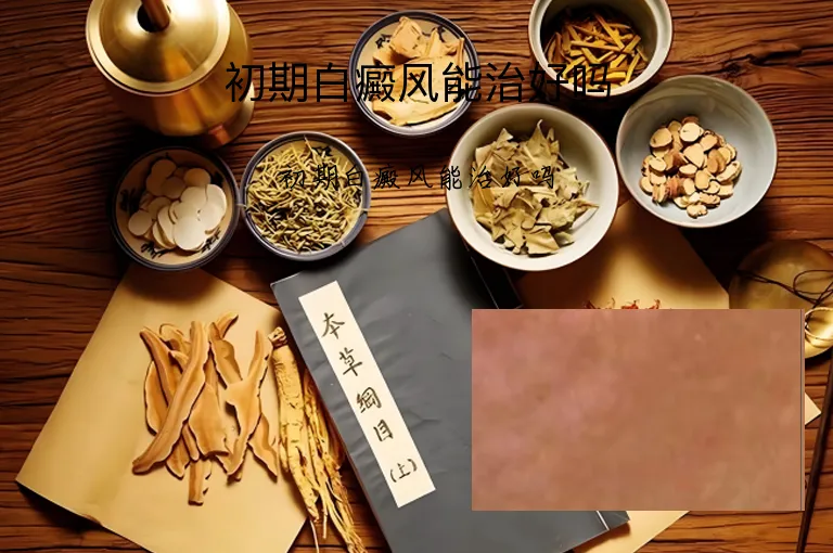 初期白癜风能治好吗